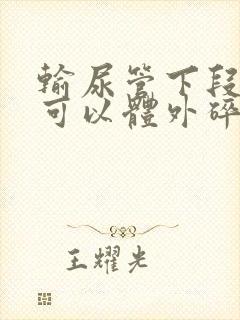 输尿管下段结石可以体外碎石