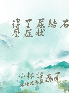 得了尿结石是什么症状