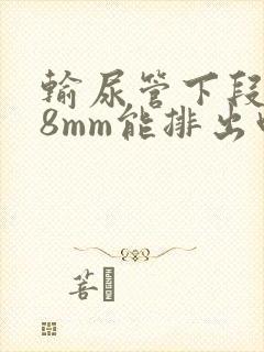 输尿管下段结石8mm能排出吗