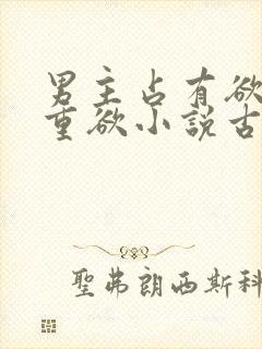 男主占有欲强且重欲小说古言