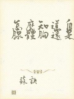 怎么知道自己是腺体胸还是脂肪胸