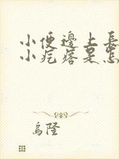 小便边上长了个小疙瘩是怎么回事