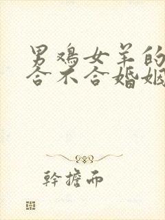 男鸡女羊的属相合不合婚姻