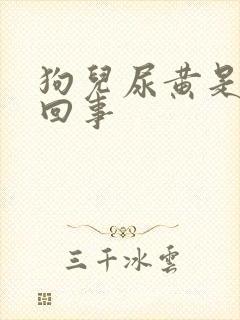 狗儿尿黄是怎么回事