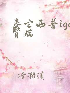 泰它西普iga肾病