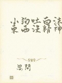 小狗吐白沫不吃东西没精神是怎么了