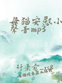 母猫安慰小猫的声音mp3