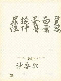 尿检蛋白质弱阳性什么意思