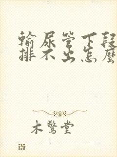 输尿管下段结石排不出怎么办