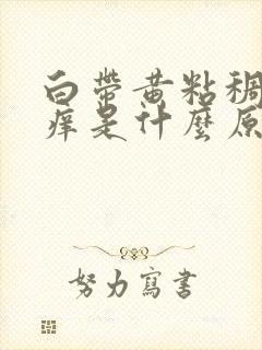 白带黄粘稠外阴痒是什么原因