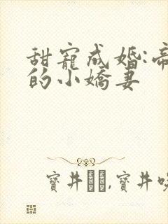 甜宠成婚:帝少的小娇妻