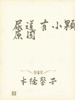 尿道有小颗粒的原因