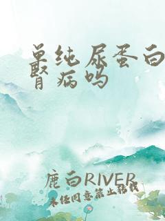 单纯尿蛋白高是肾病吗