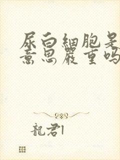 尿白细胞是什么意思严重吗