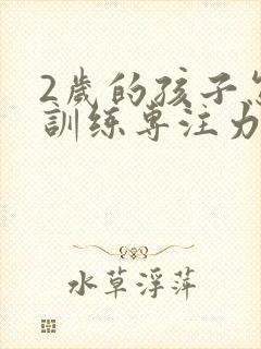 2岁的孩子怎么训练专注力