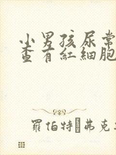 小男孩尿常规检查有红细胞