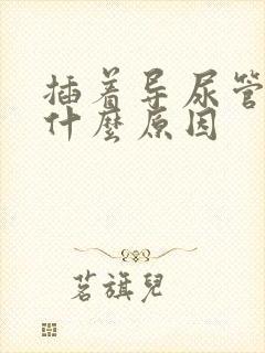 插着导尿管漏尿什么原因