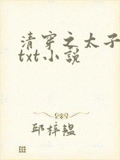 清穿之太子娇妃txt小说