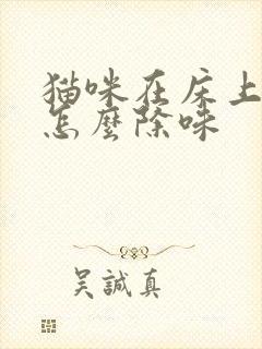 猫咪在床上尿了怎么除味