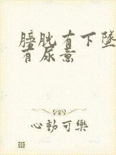 膀胱有下坠感老有尿意