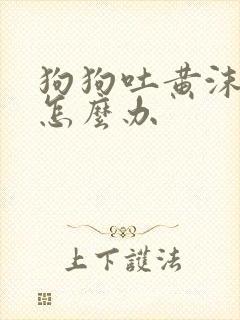 狗狗吐黄沫黏液怎么办