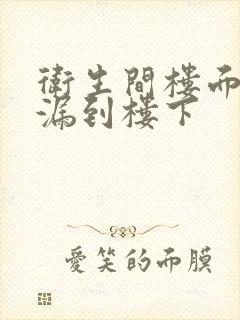 卫生间楼面漏水漏到楼下