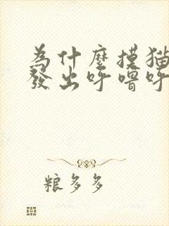 为什么摸猫咪会发出呼噜呼噜的声音