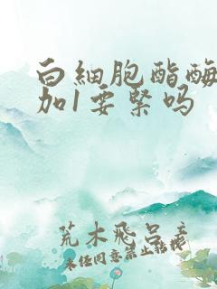 白细胞酯酶阳性加1要紧吗