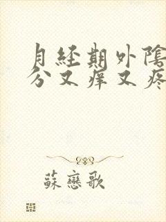 月经期外阴下部分又痒又疼怎么办