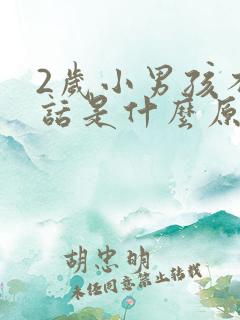 2岁小男孩不说话是什么原因