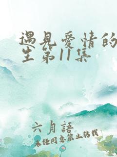 遇见爱情的利先生第11集