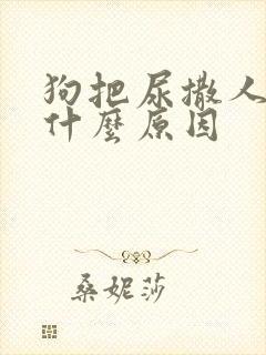 狗把尿撒人身上什么原因