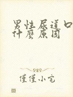 男性尿道口红肿什么原因