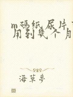 m码纸尿片可以用到几个月