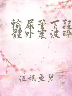 输尿管下段结石体外震波碎石多少钱