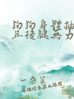 狗狗身体抽搐并且后腿无力