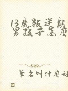 13岁叛逆期的男孩子怎么去引导