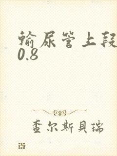 输尿管上段结石0.8