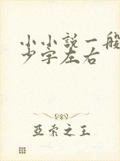 小小说一般在多少字左右