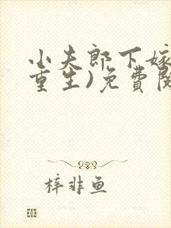 小夫郎下嫁后(重生)免费阅读