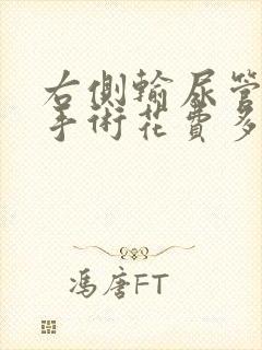 右侧输尿管结石手术花费多钱