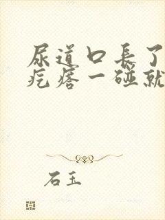 尿道口长了一个疙瘩一碰就疼