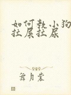 如何教小狗定点拉屎拉尿