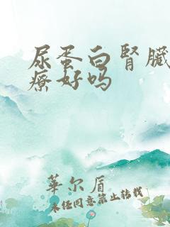 尿蛋白肾脏能治疗好吗