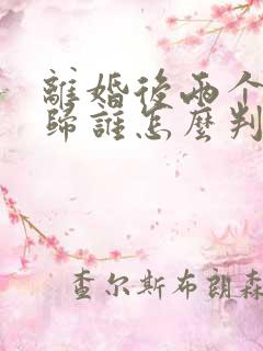 离婚后两个孩子归谁怎么判