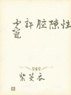 少许腔隙性缺血灶