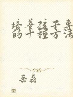 培养孩子专注力的十种方法