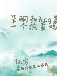 孕酮和hcg是一个检查吗