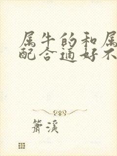 属牛的和属兔婚配合适好不好