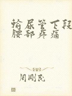 输尿管下段结石腰部疼痛